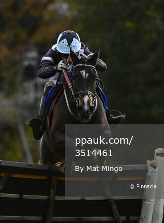 Taunton Races, Taunton, UK - 16 Nov 2023