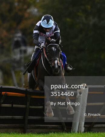 Taunton Races, Taunton, UK - 16 Nov 2023