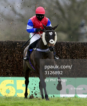 Taunton Races, Taunton, UK - 23 Feb 2021