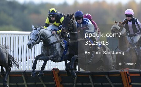 Exeter Races, Exeter, UK - 10 Nov 2021