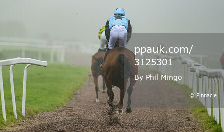 Exeter Races, Exeter, UK - 19 Oct 2021