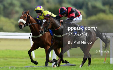 Exeter Races, Exeter, UK - 7 Oct 2021