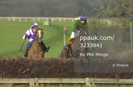 Silverton Foxhounds Point to Point