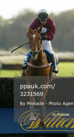 Exeter Races, Exeter, UK 22 Oct 2002