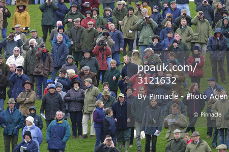 Point to Point-South Devon Foxhounds