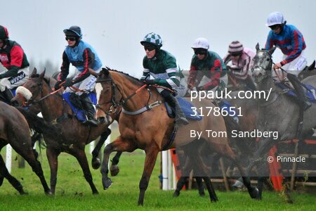 Exeter Races 151216