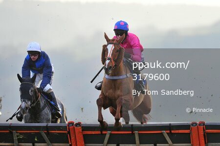 Taunton Races 081216
