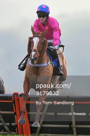Taunton Races 081216