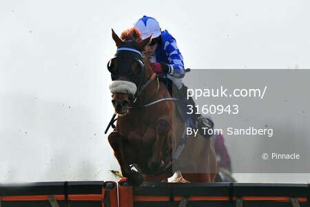Taunton Races 201216