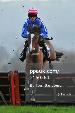 Taunton Races 201216