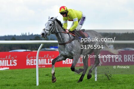 Exeter Races 140216
