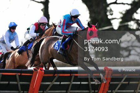 Taunton Races 020216