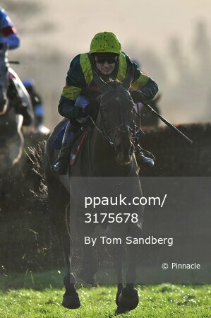 Taunton Races 020216