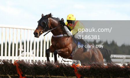 Exeter Races 300316