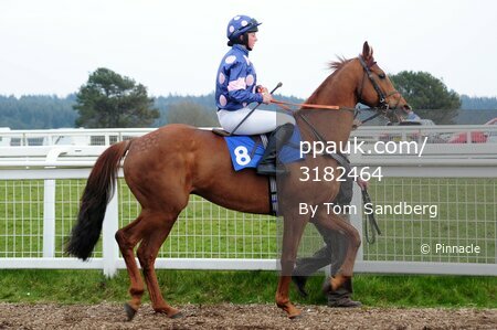 Exeter Races 220316