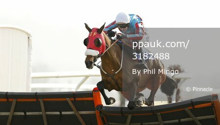 Taunton Races 140316