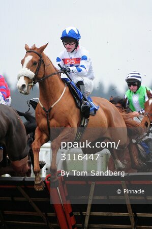 Exeter Races 170117