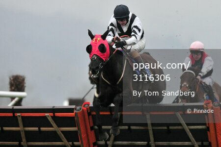 Taunton Races 270117