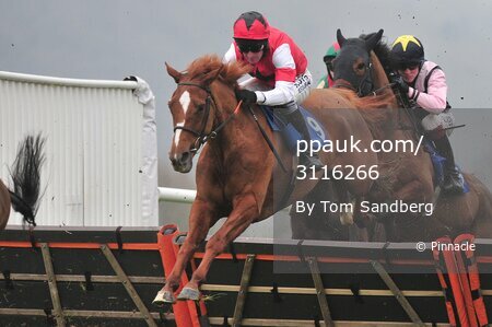 Taunton Races 270117