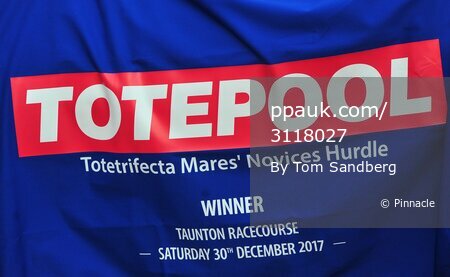 Taunton Races, Taunton, UK - 30 Dec 2017