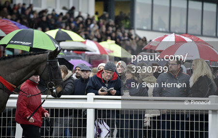 Exeter Races 010117