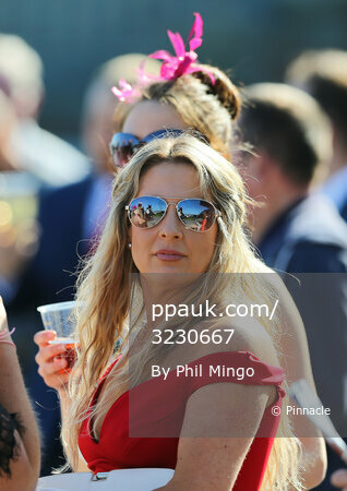 Exeter Races, Exeter, UK - 9 May 2017 