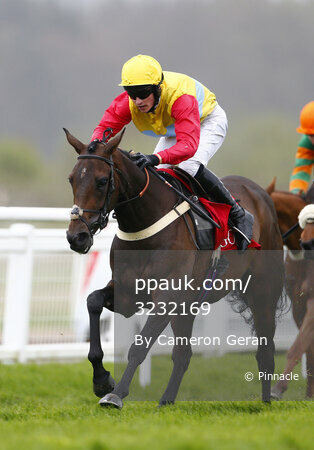 Exeter Races, Exeter, UK - 24 Apr 2018