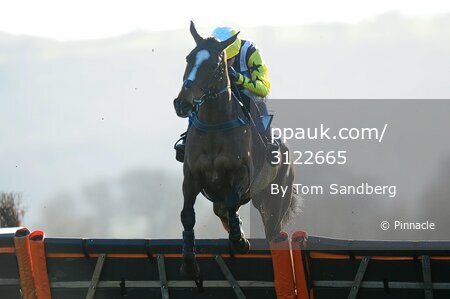 Taunton Races, Taunton, UK - 20 Feb 2018