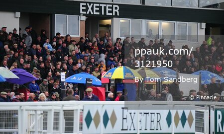 Exeter Races, Exeter, UK - 6 Nov 2018