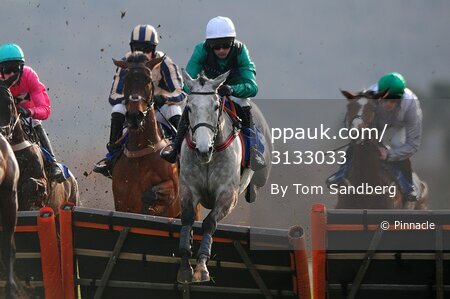 Taunton Races, Taunton, UK - 19 Feb 2019