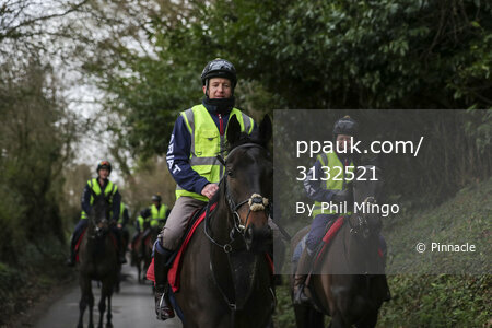 Racehorse Clan Des Obeaux, Ditcheat, UK - 14 Jan 2019