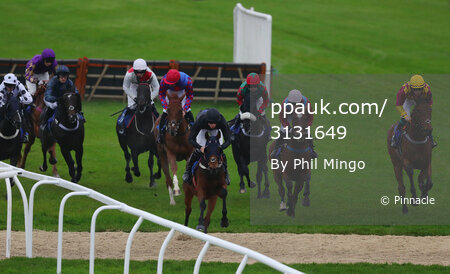 Exeter Races, Exeter, UK - 10 Oct 2019