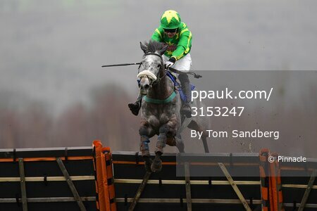 Taunton Races, Taunton, UK - 2 Feb 2020