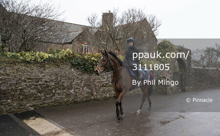 Philip Hobbs stable visit, Minehead, UK - 14 Jan 2020