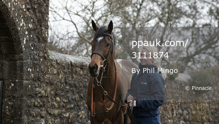 Philip Hobbs stable visit, Minehead, UK - 14 Jan 2020