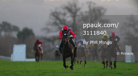 Taunton Races, Taunton, UK - 18 Jan 2020