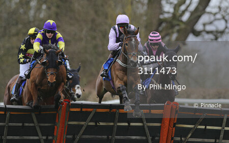 Taunton Races, Taunton, UK - 9 Mar 2020