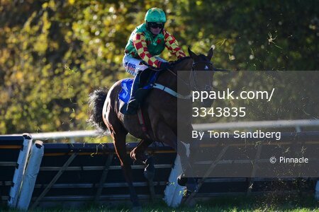 Taunton Races, Taunton, UK - 8 Dec 2022