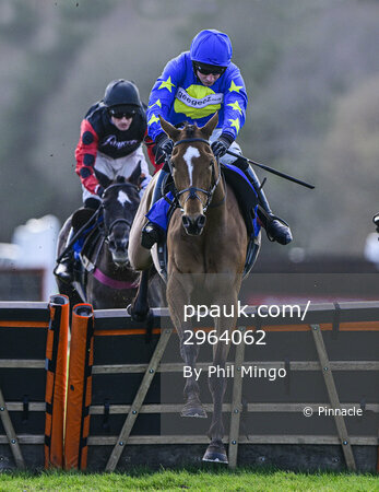 Exeter Races, Exeter, UK - 25 Feb 2022