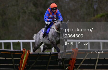 Taunton Races, Taunton, UK - 8 Feb 2022