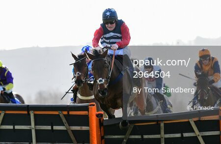 Taunton Races, Taunton, UK - 22 Feb 2022
