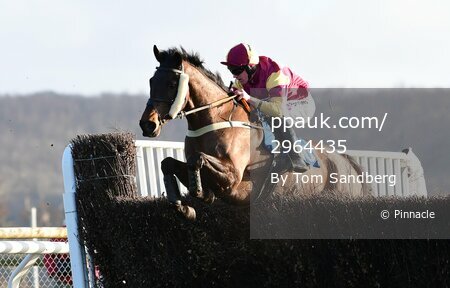 Taunton Races, Taunton, UK - 22 Feb 2022