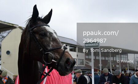 Taunton Races, Taunton, UK - 3 Mar 2022