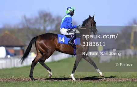 Taunton Races, Taunton, UK - 14 Mar 2022