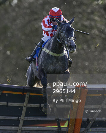 Taunton Races, Taunton, UK - 14 Mar 2022