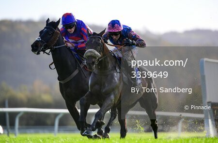 Taunton Races, Taunton, UK - 24 Nov 2022