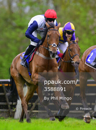Taunton Races, Taunton, UK - 11 Apr 2024