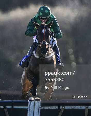 Exeter Races, Exeter, UK - 11 Feb 2024