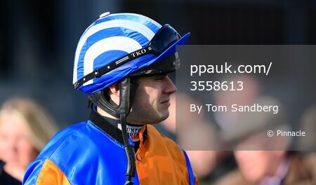 Exeter Races, Exeter, UK - 23 Feb 2024