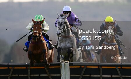 Taunton Races, Taunton, UK - 20 Feb 2024